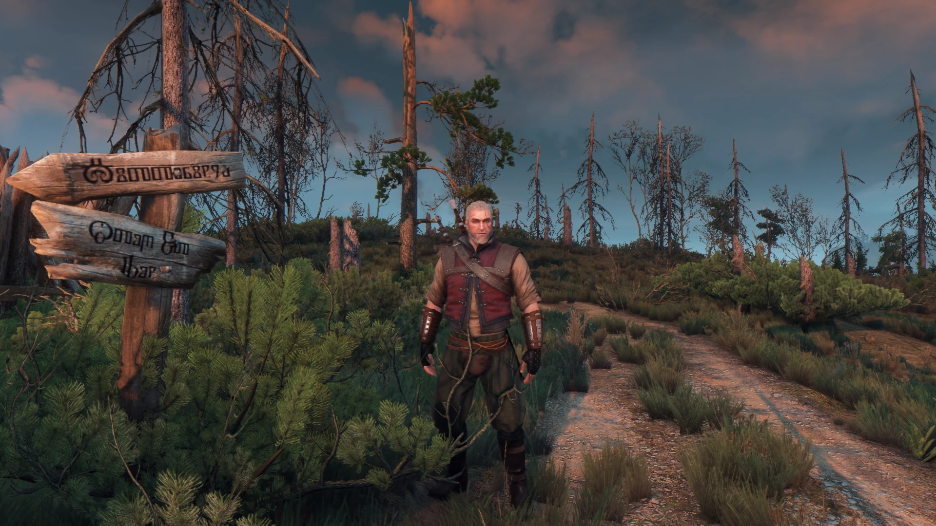 download the witcher 3 remastered