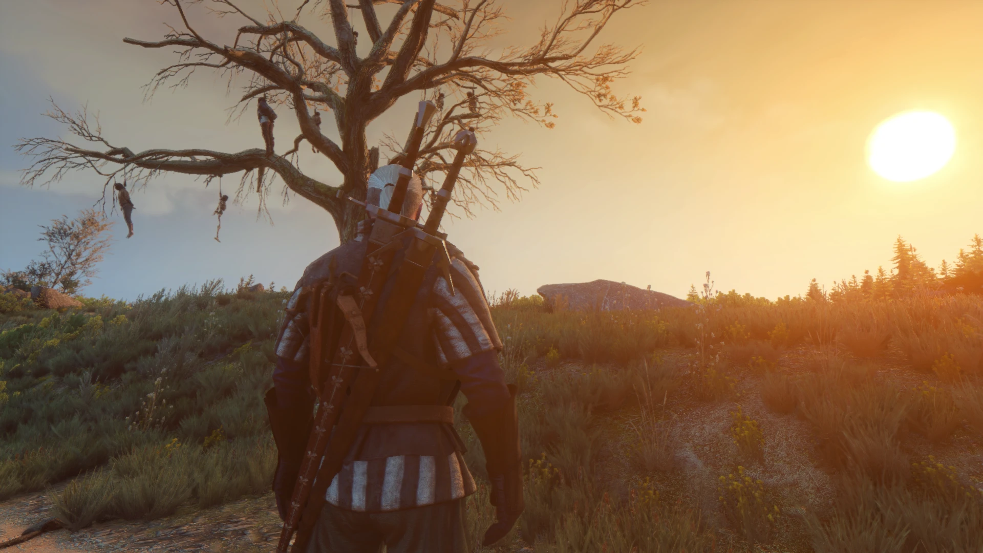 Enhanced Visuals Remastered At The Witcher 3 Nexus - Mods And Community