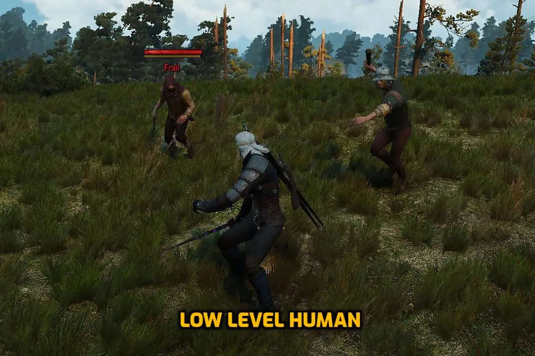 The Witcher 3: All Enemies and How to Beat Each Enemy Type