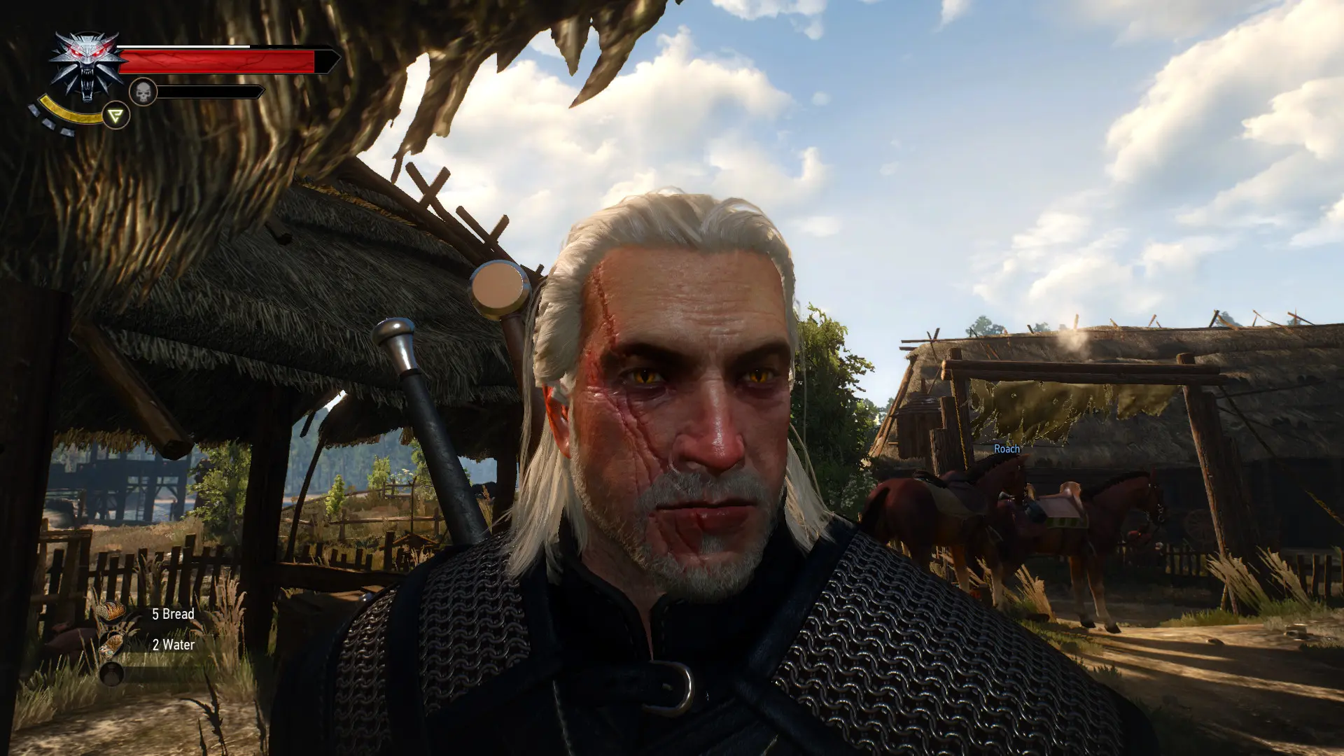 моды на the witcher steam фото 50