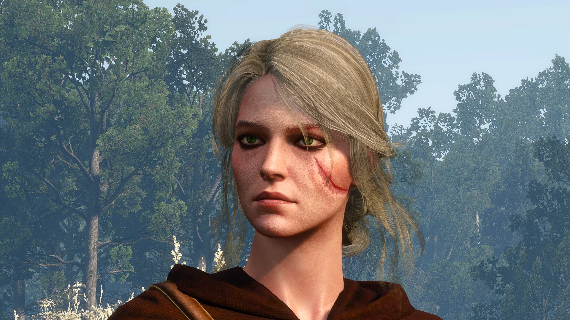 The witcher 3 ciri young фото 14