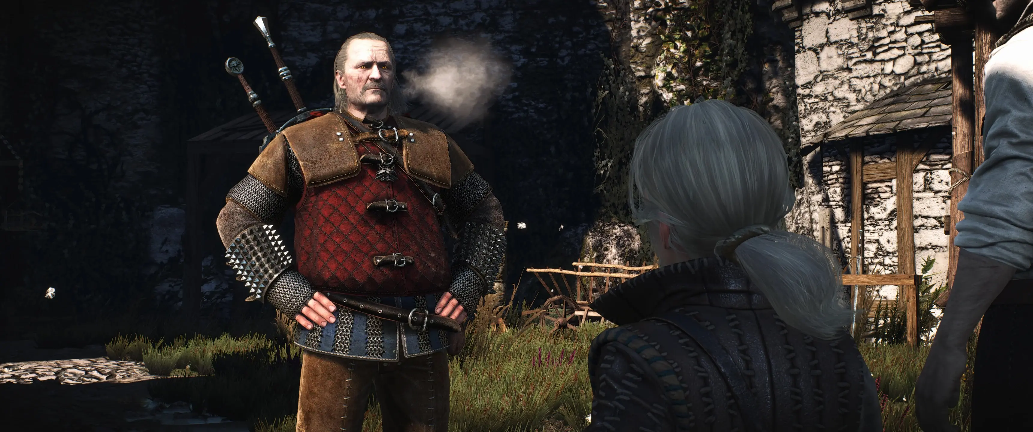 Nexus mod the witcher 3 console фото 116