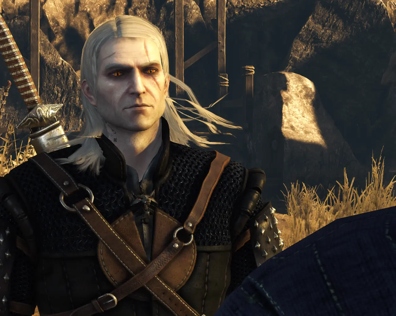 Nexus mod the witcher 3 фото 112