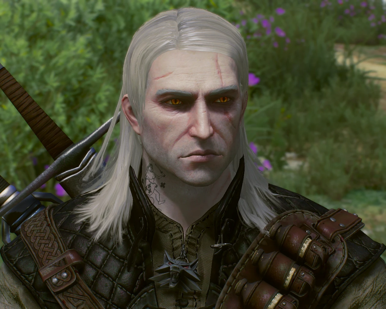 The witcher 3 geralt hairstyle фото 34