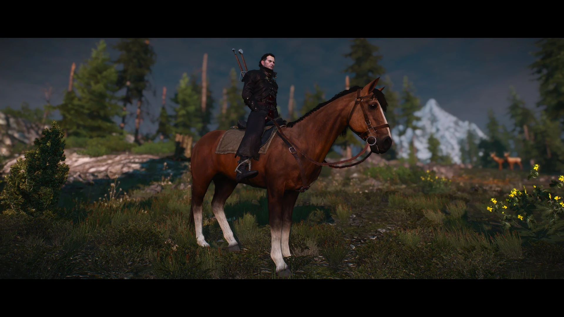Witcher 3 soundtrack the trail фото 102