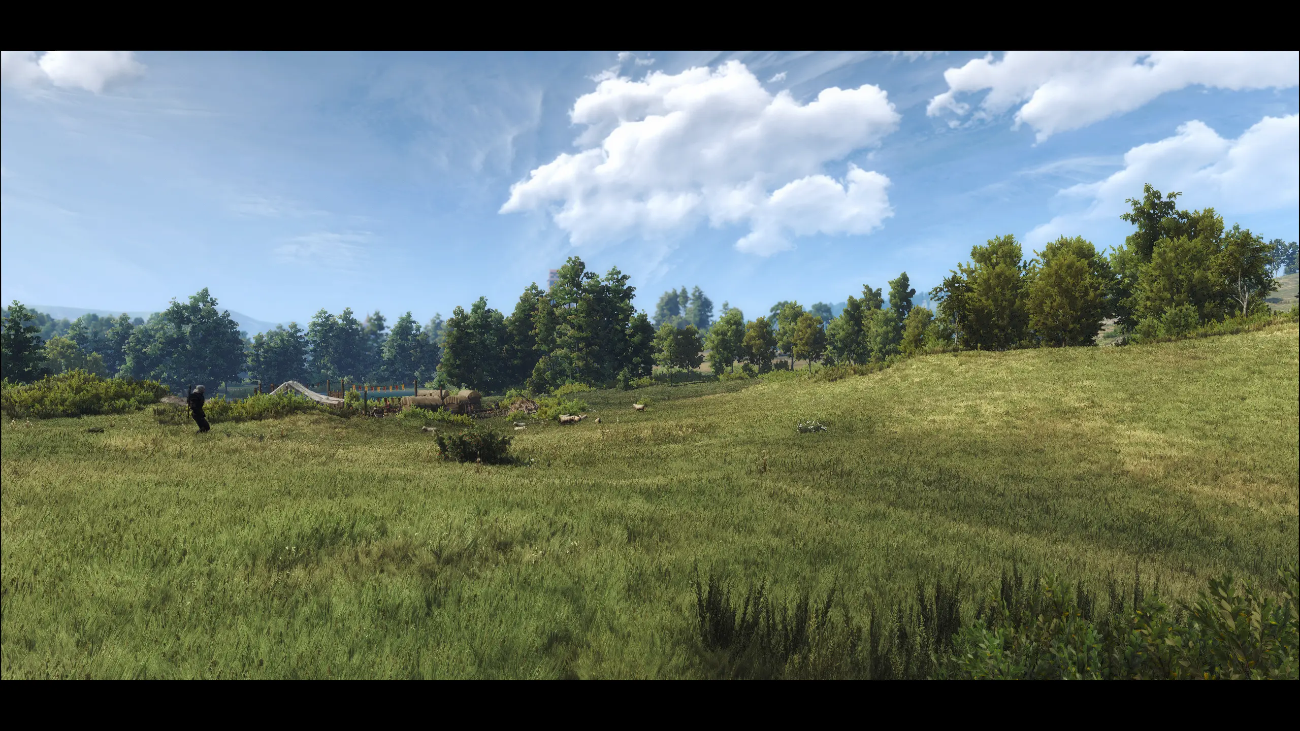 witcher 3 grass mod