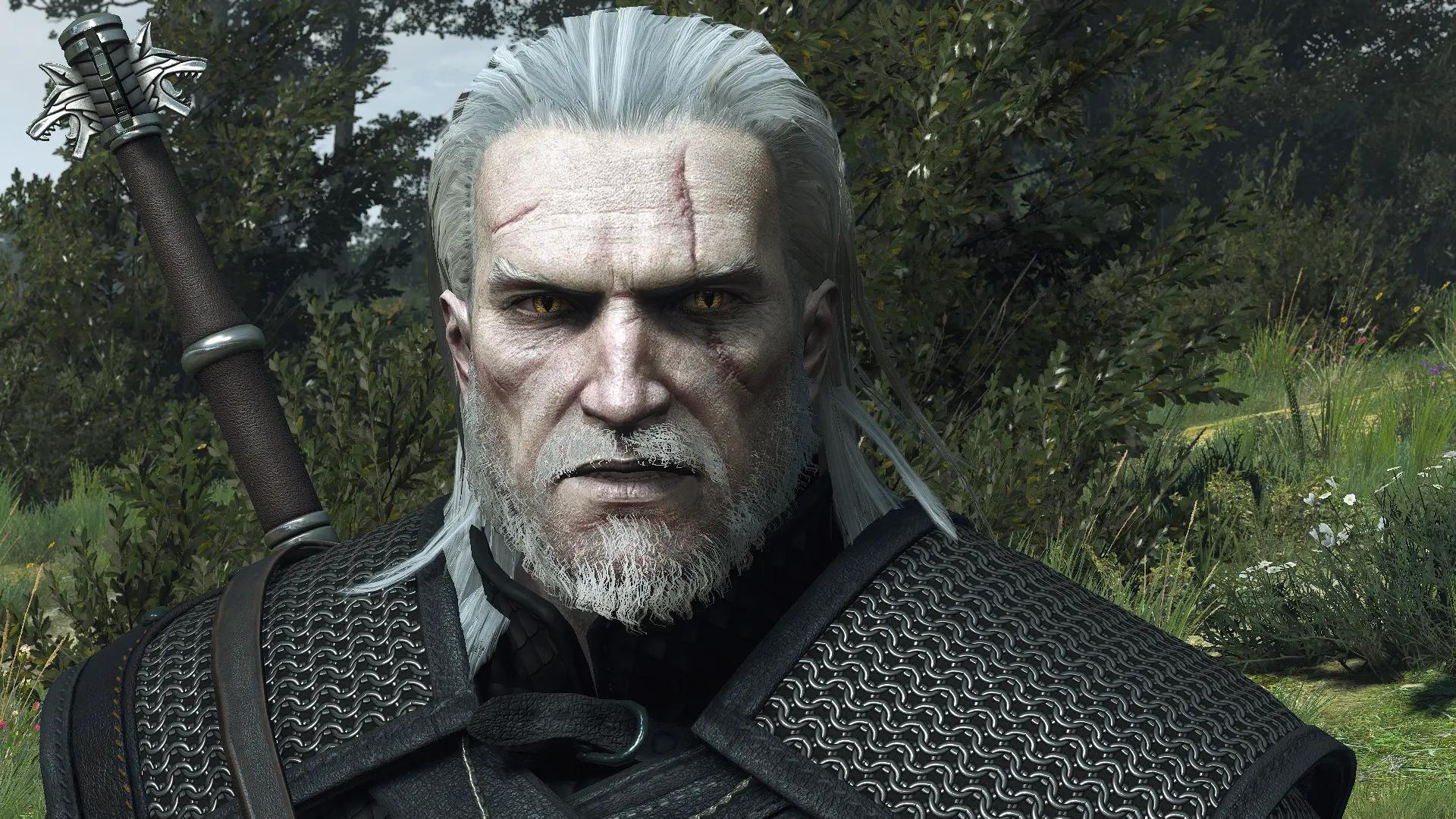 Geralt of Rivia - Irregular Pale Custom at The Witcher 3 Nexus - Mods ...