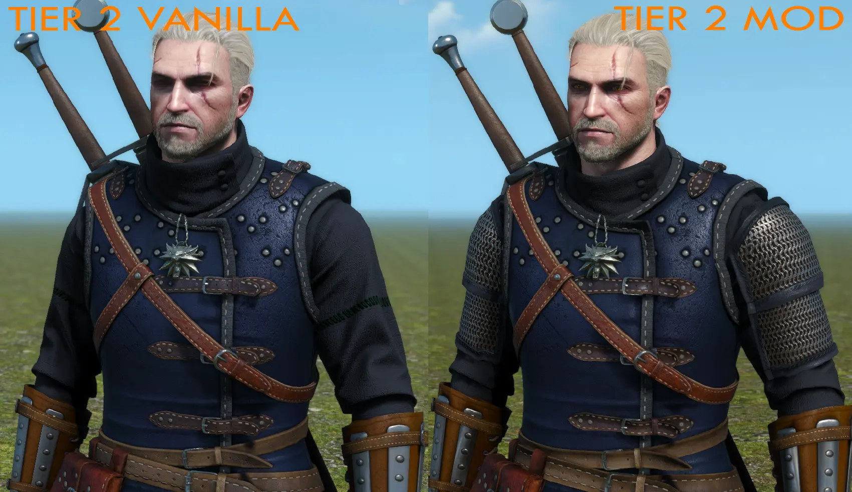 CAT REWORKED ARMOR at The Witcher 3 Nexus - Mods and community