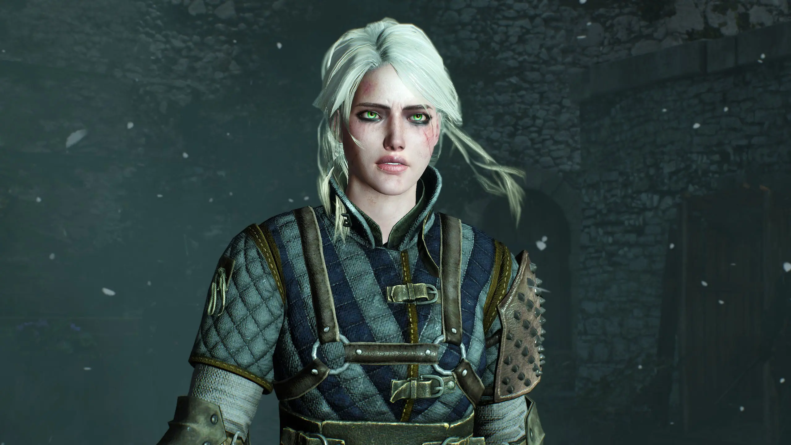 Turn prerendered cutscene into Ingame-Engine cutscenes at The Witcher 3 ...