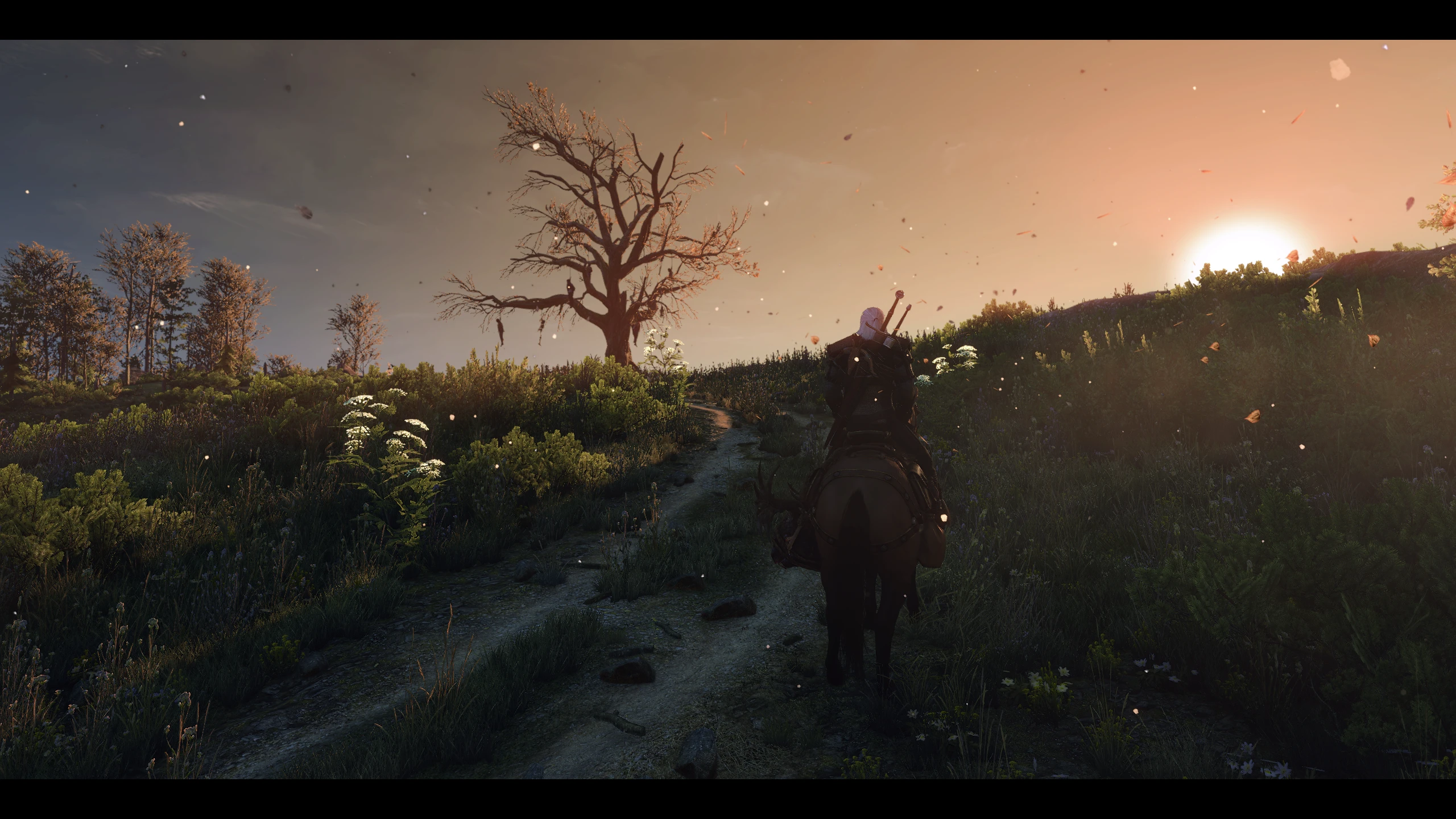 E3 reshade the witcher 3 фото 3
