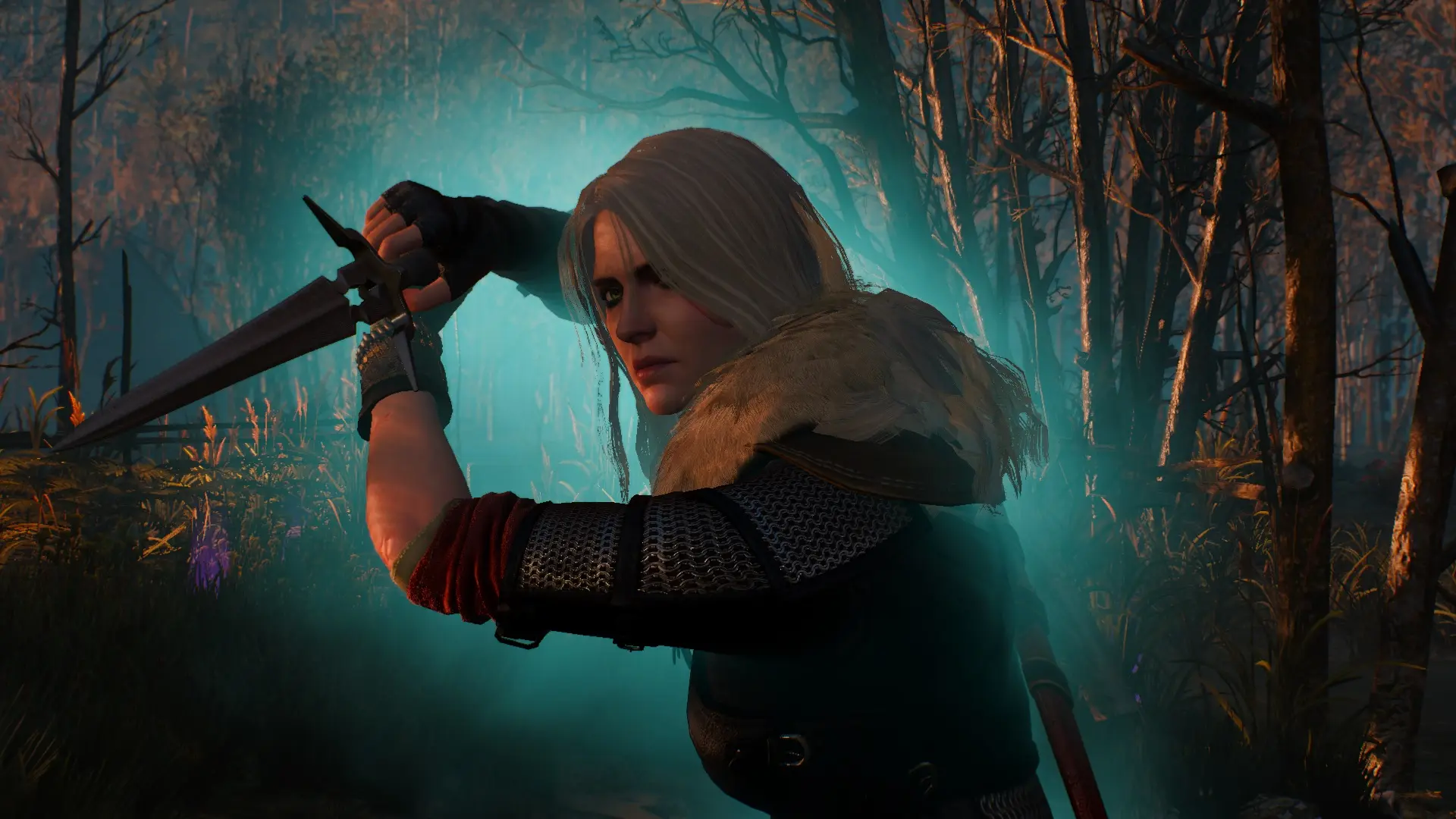 New Quests for The Witcher 3? - wiggolp and Damastor at Nexus mods and  community