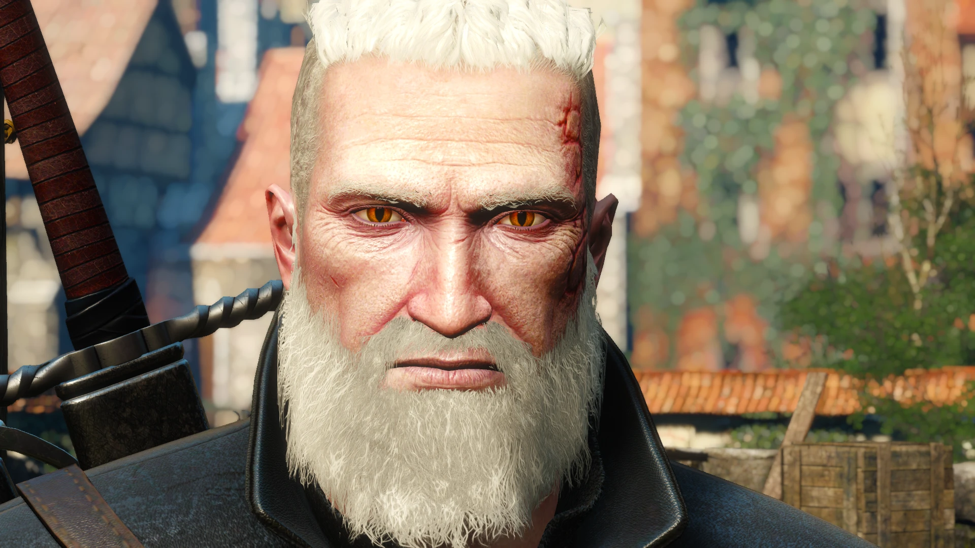 The witcher 3 finishers mod фото 81