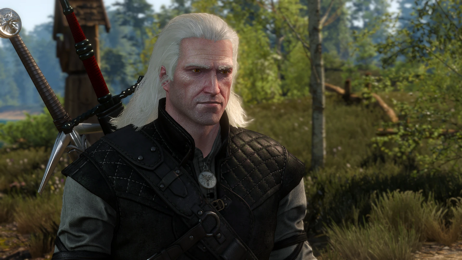 The witcher 3 with geralt doppler фото 9