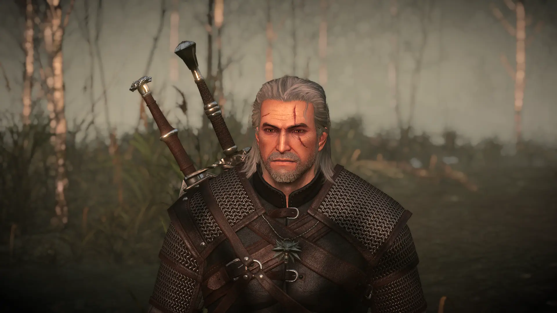 Bubsy's E3 2014 Geralt at The Witcher 3 Nexus - Mods and community