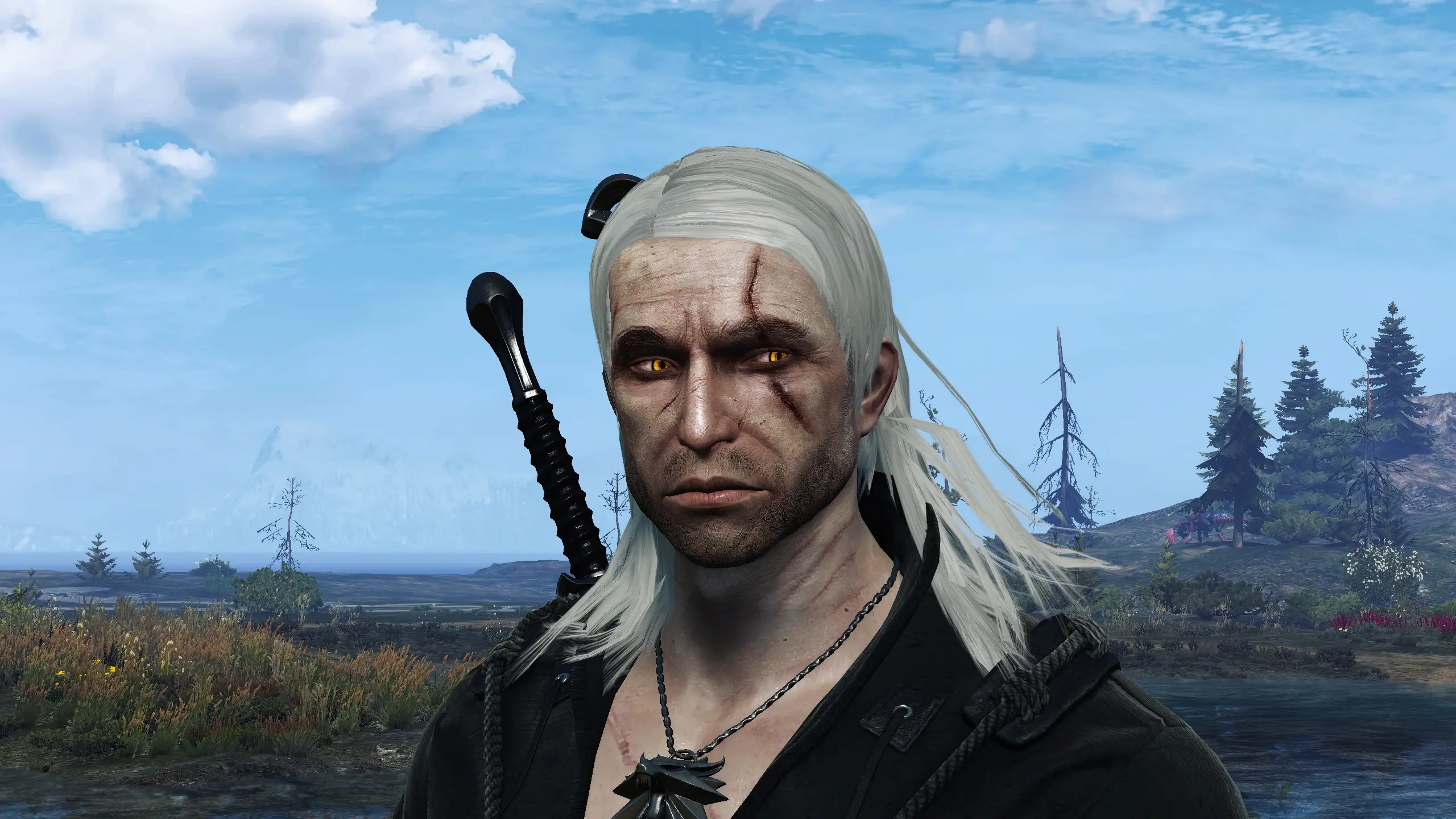 The witcher 3 face mod фото 23