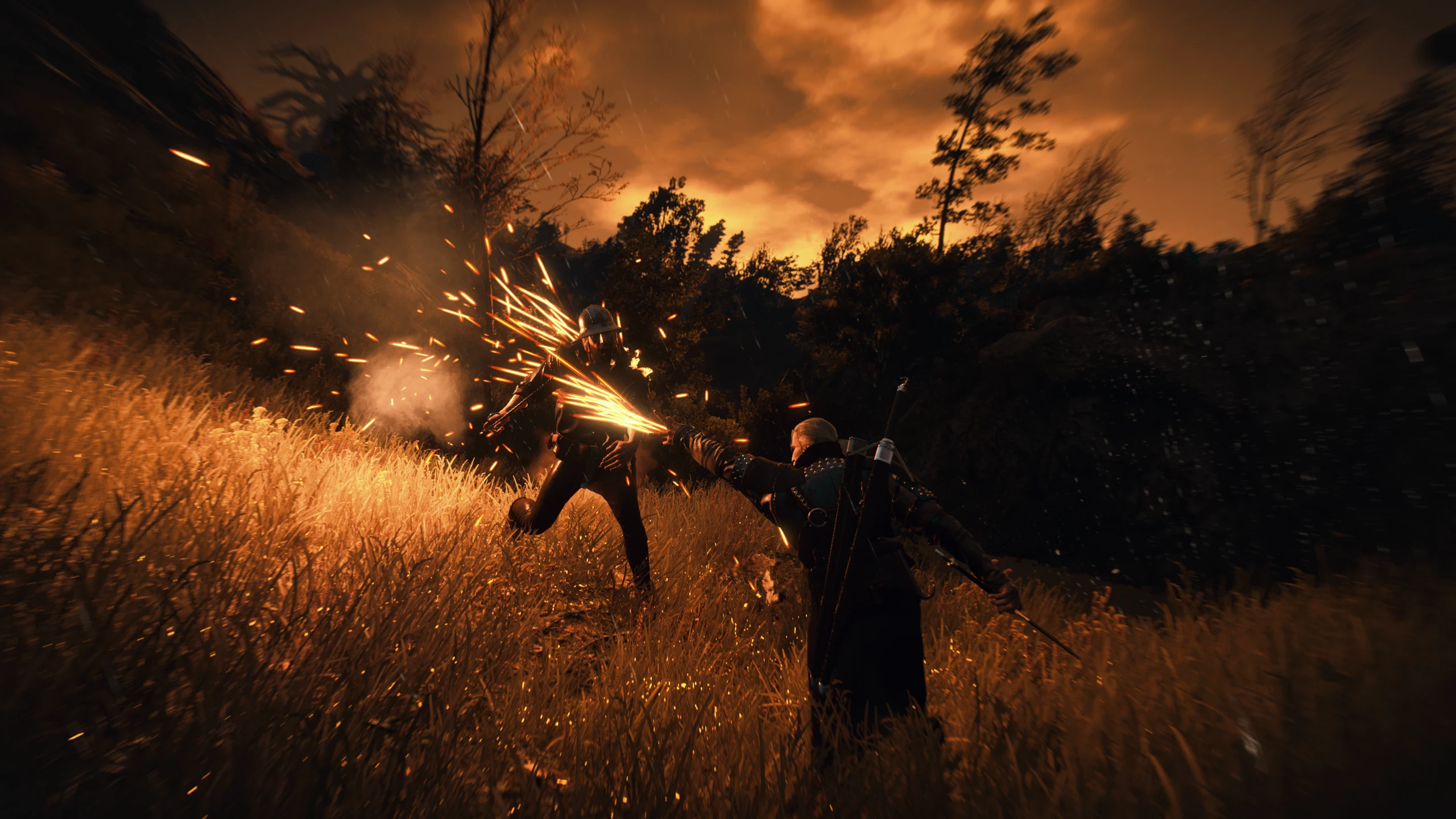 Professional Gear at The Witcher 3 Nexus - Mods and community