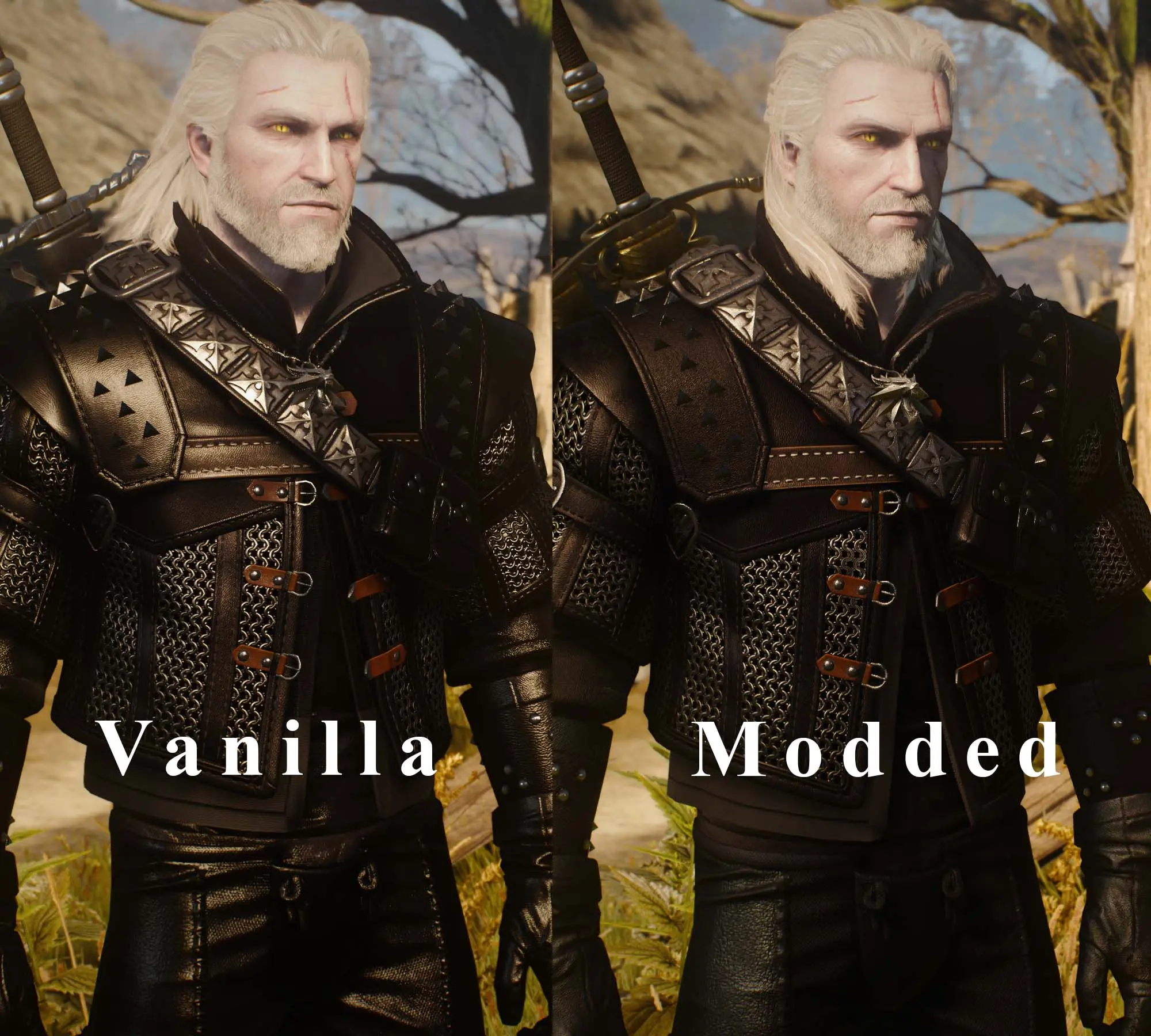 The witcher 3 armors mod фото 97