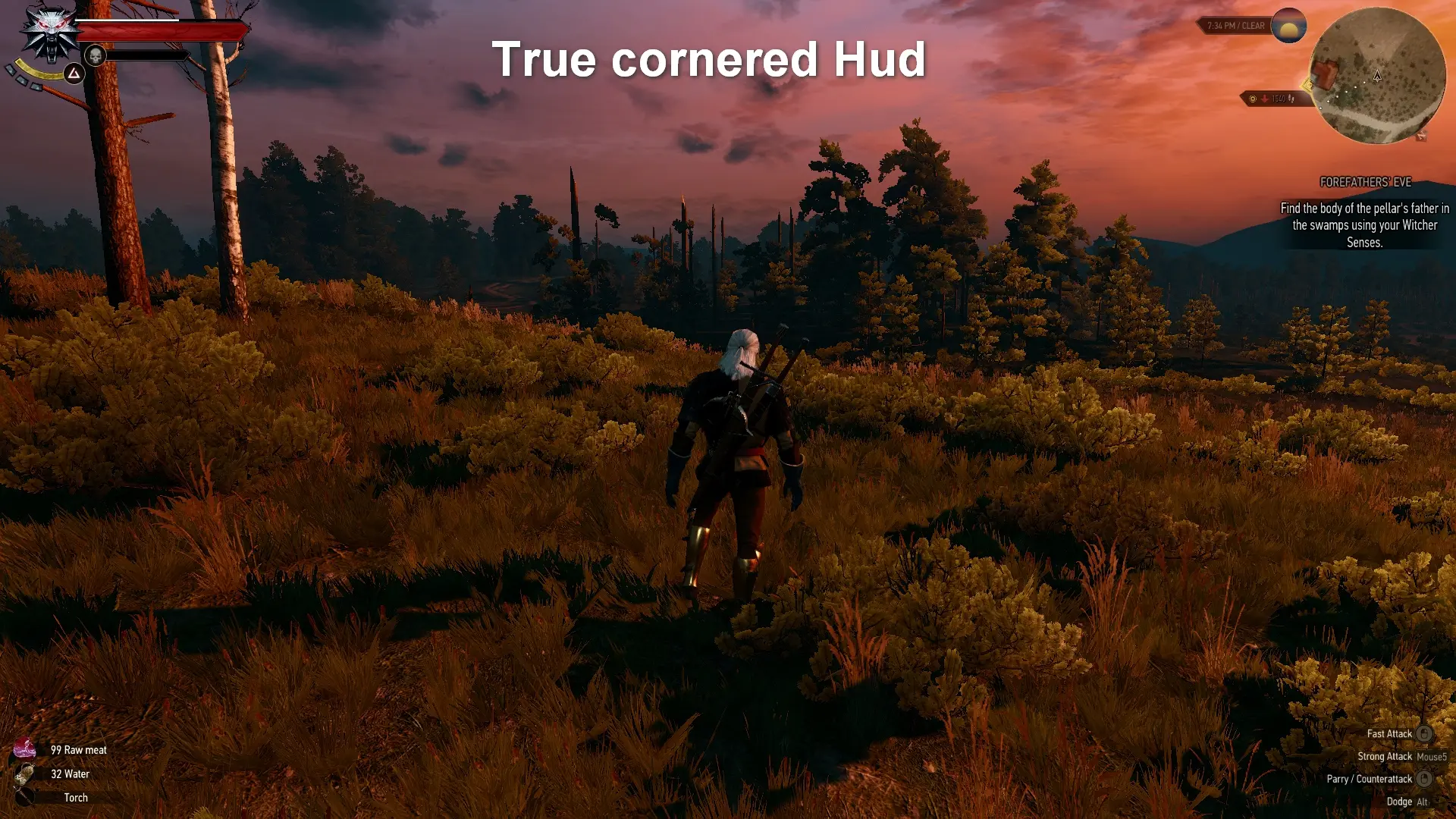 The witcher 3 mod friendly hud фото 14