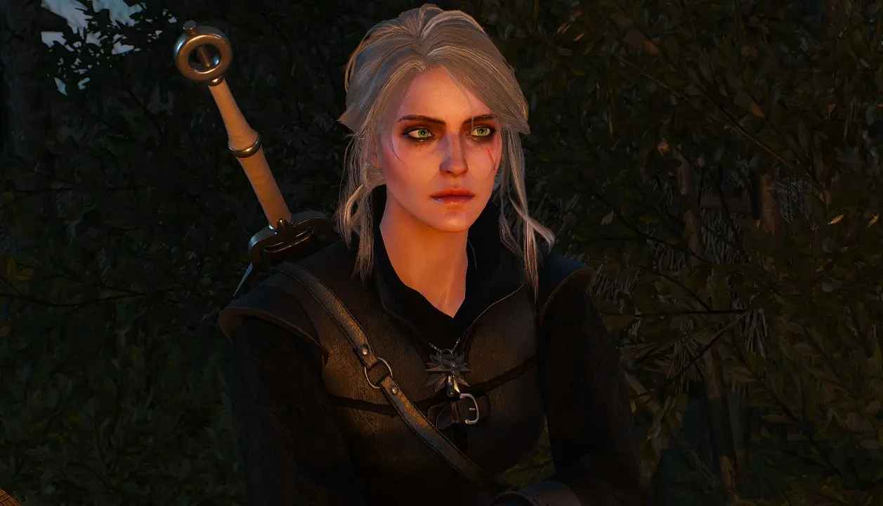 New moon Armor for Ciri at The Witcher 3 Nexus - Mods and community