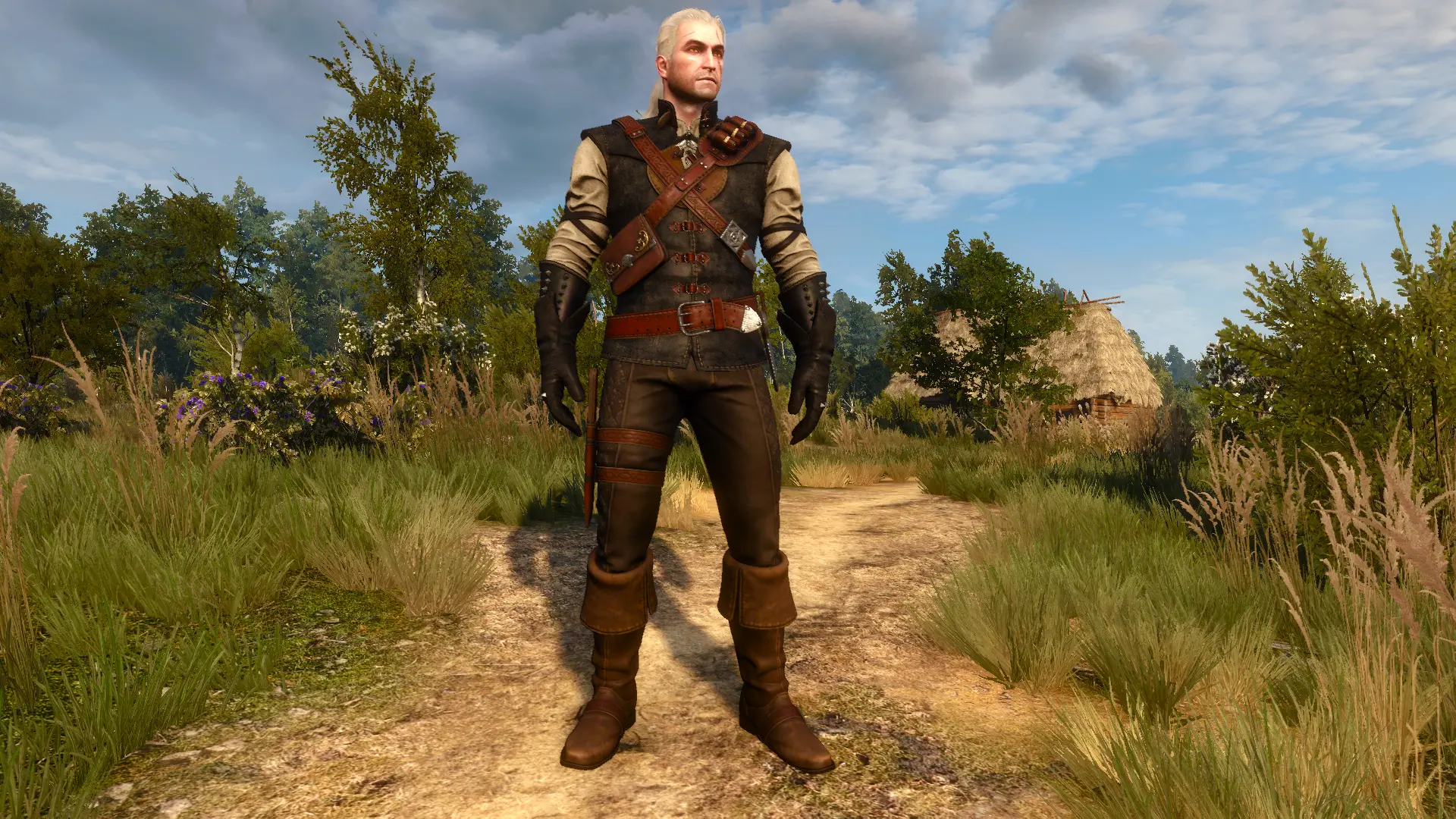 The witcher 3 моды капюшоны фото 68