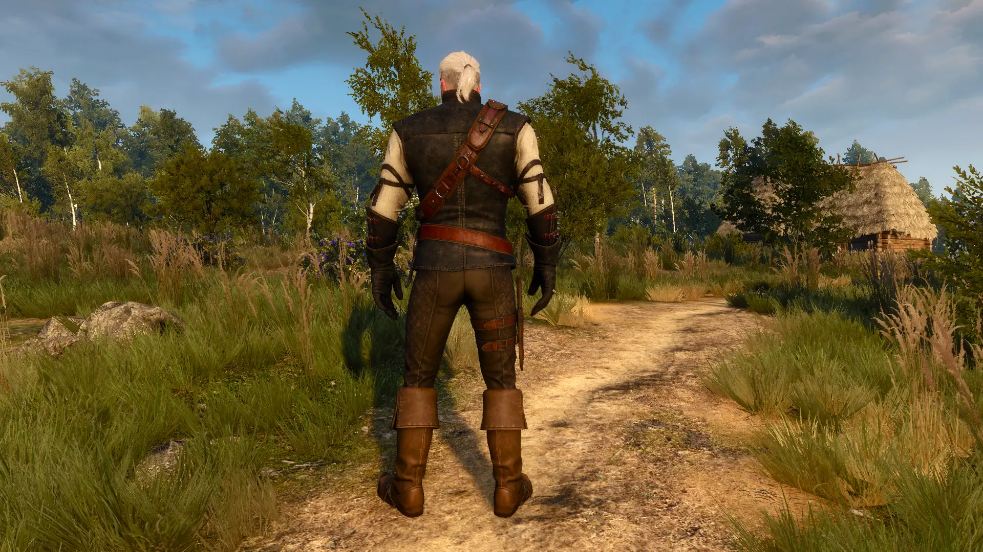 Classic Manticore Armor - Witcher 1 Style Manticore Armor at The Witcher 3  Nexus - Mods and community