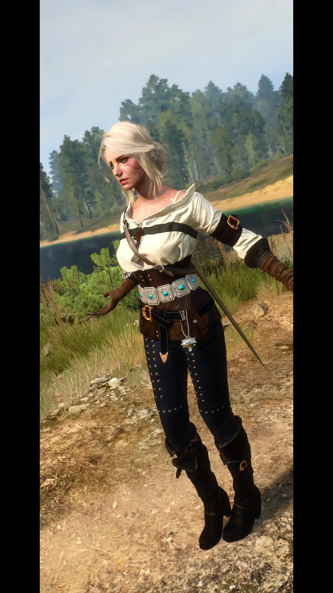 Dhu's Cirilla at The Witcher 3 Nexus - Mods and community