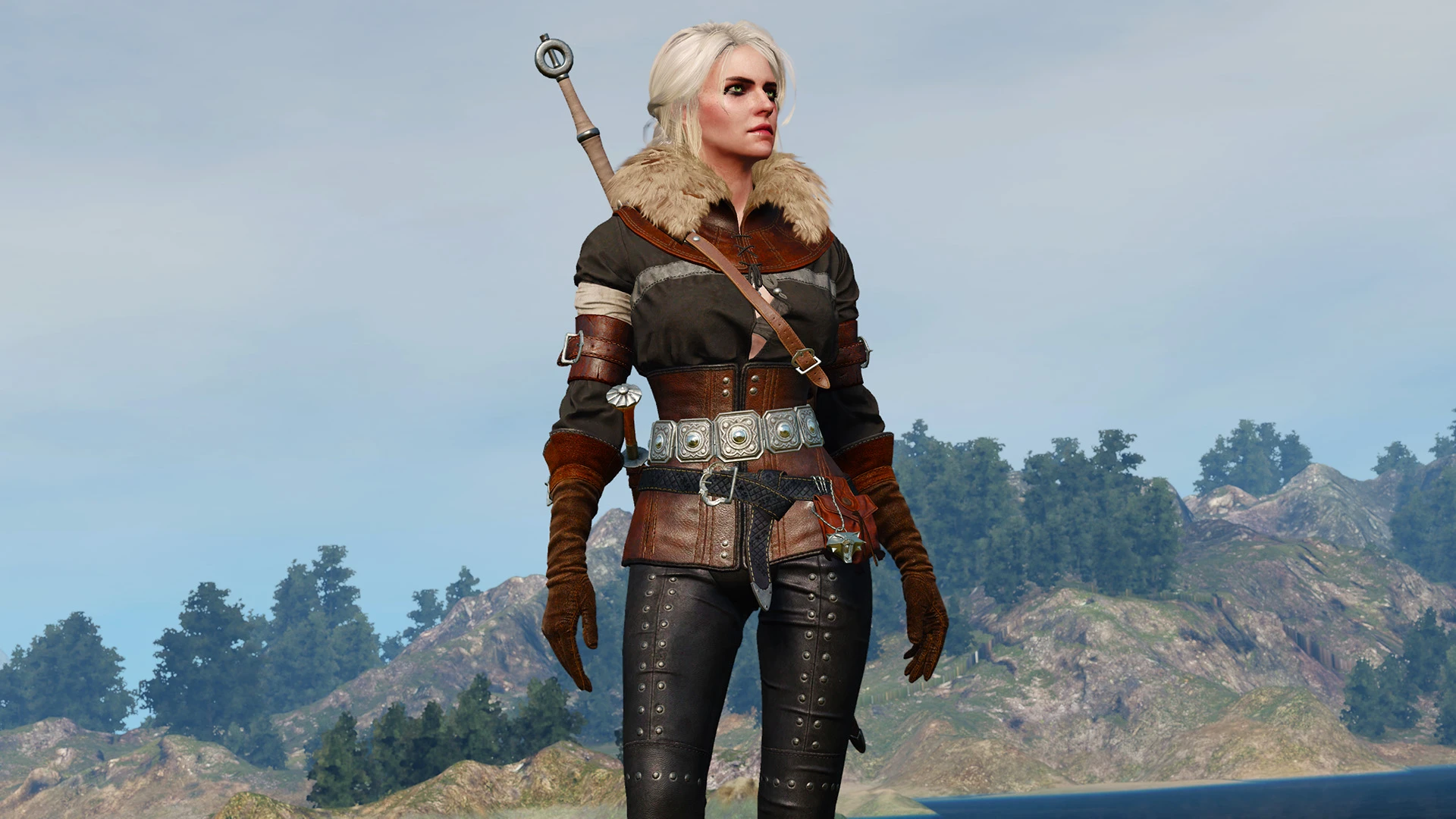 The witcher 3 alternative look for ciri фото 29