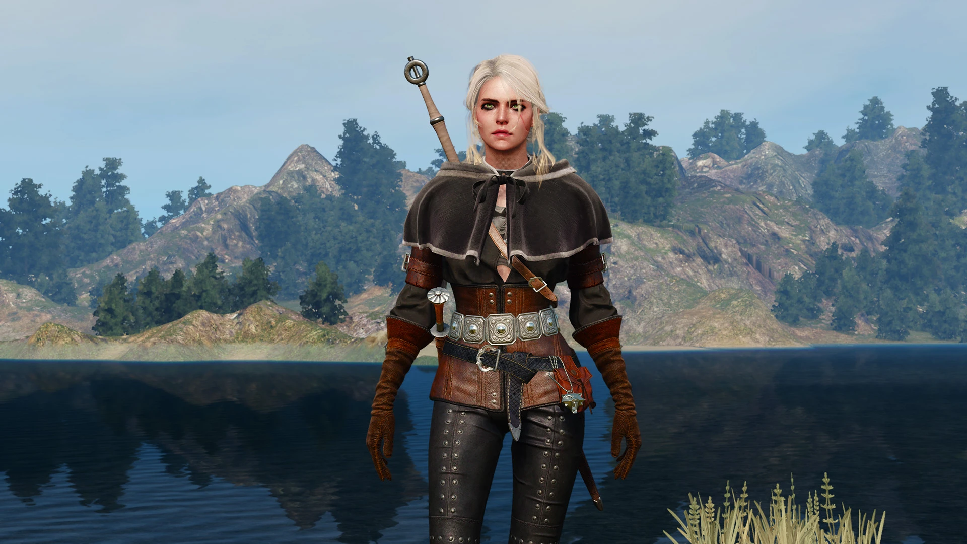Recolored Outfit for Ciri at The Witcher 3 Nexus - Mods ...