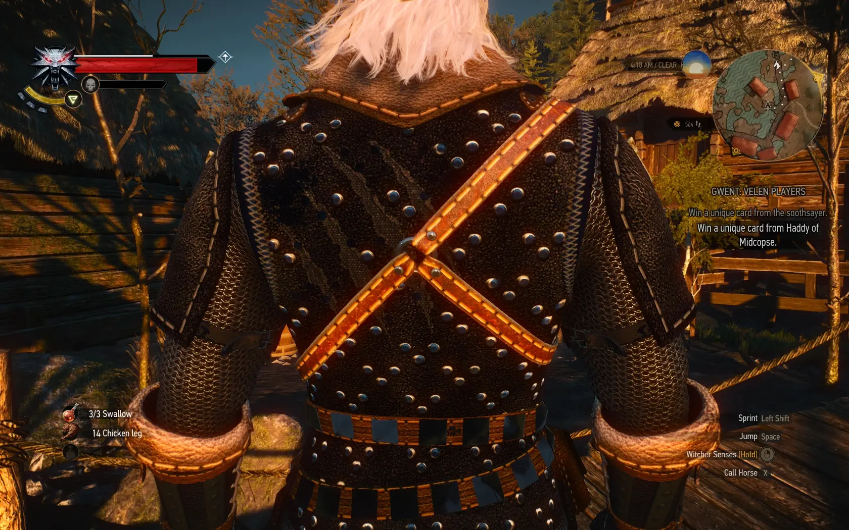 The witcher 3 feline armor фото 26