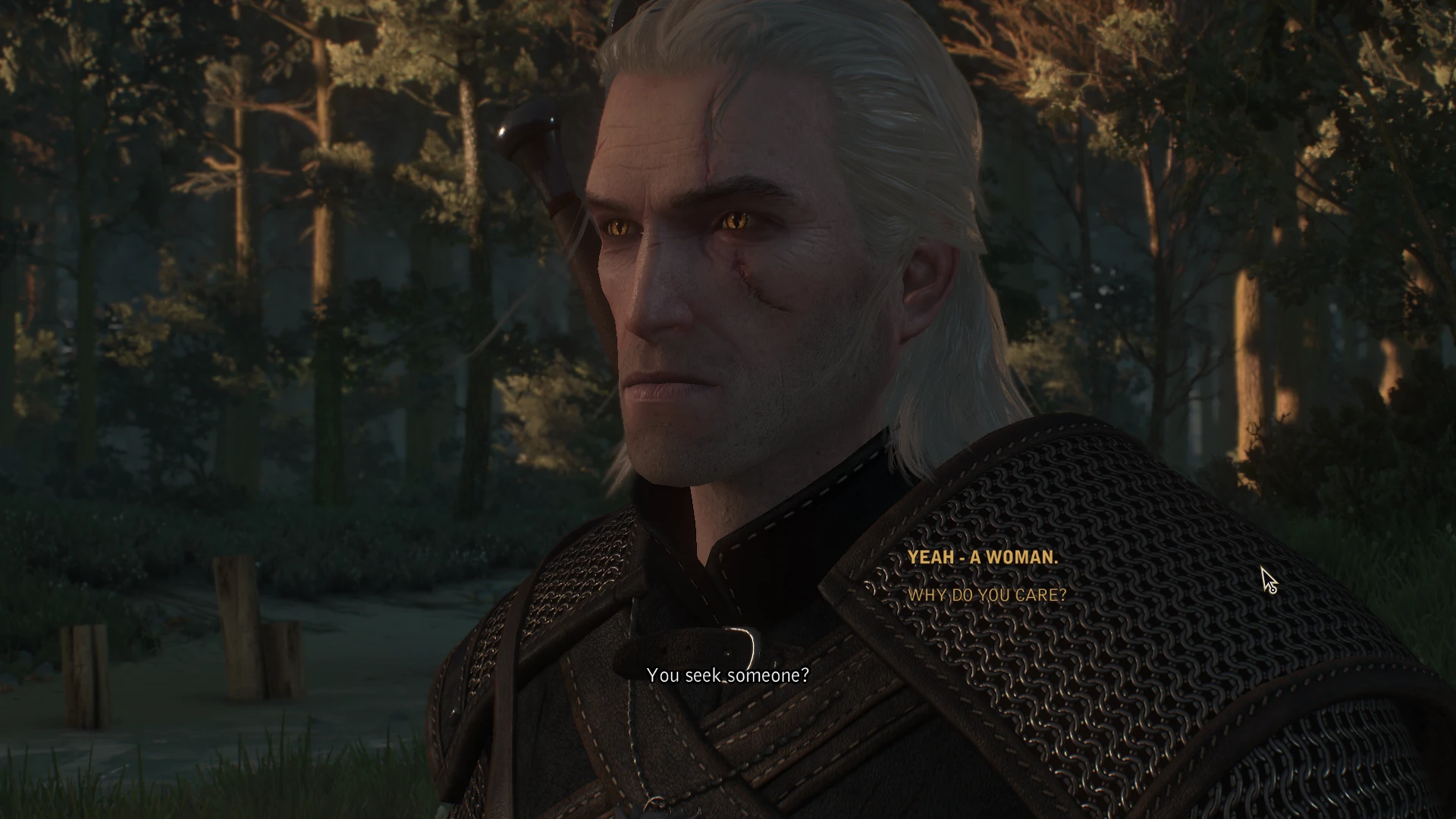 The witcher 3 nvidia hairworks amd фото 45