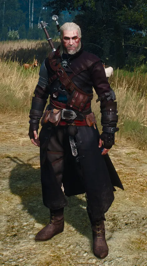 Swap Witcher Armor Appearances - Complete Edition at The Witcher 3 ...