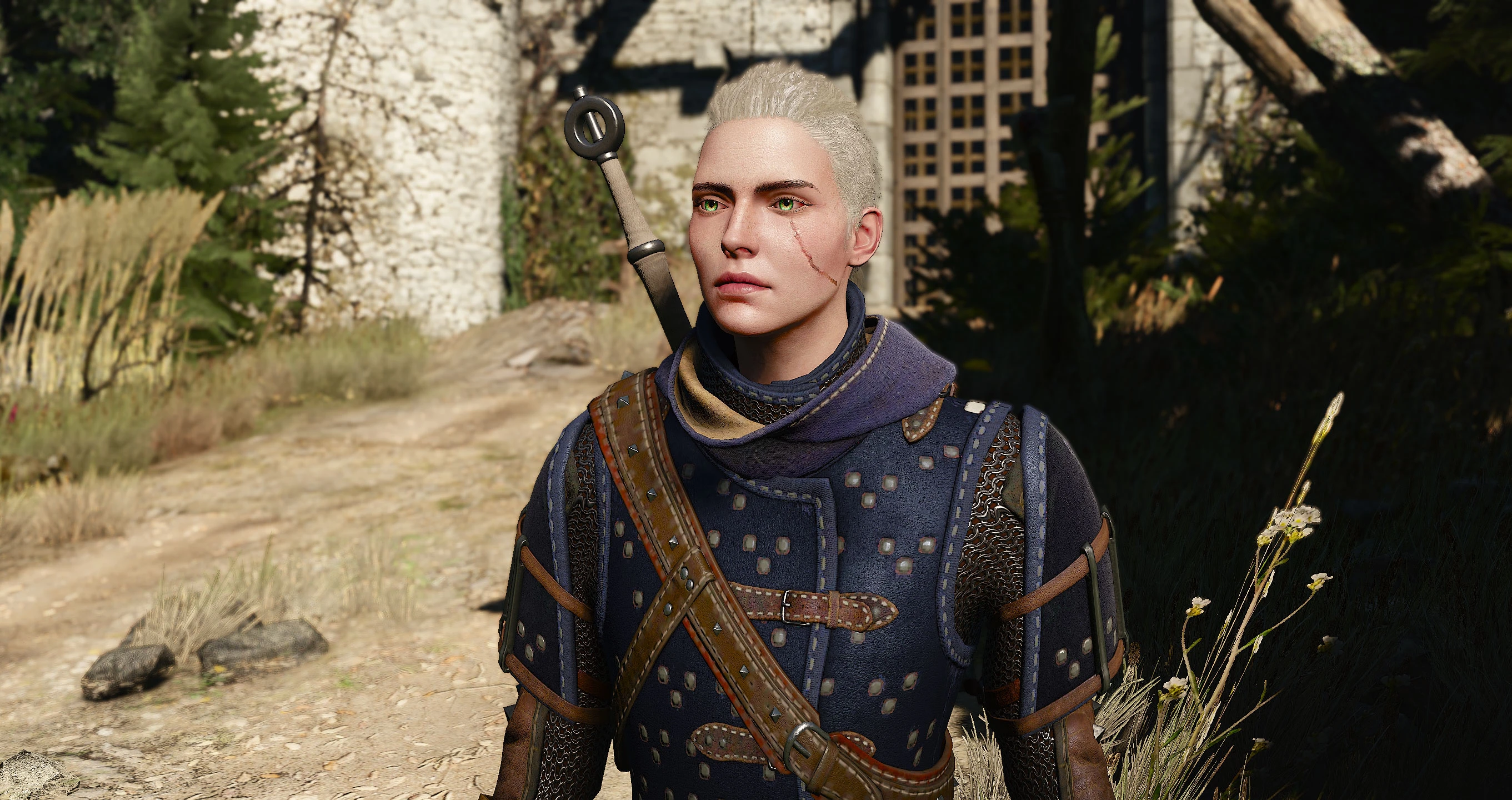 Witcher 3 school of the cat witcher фото 37