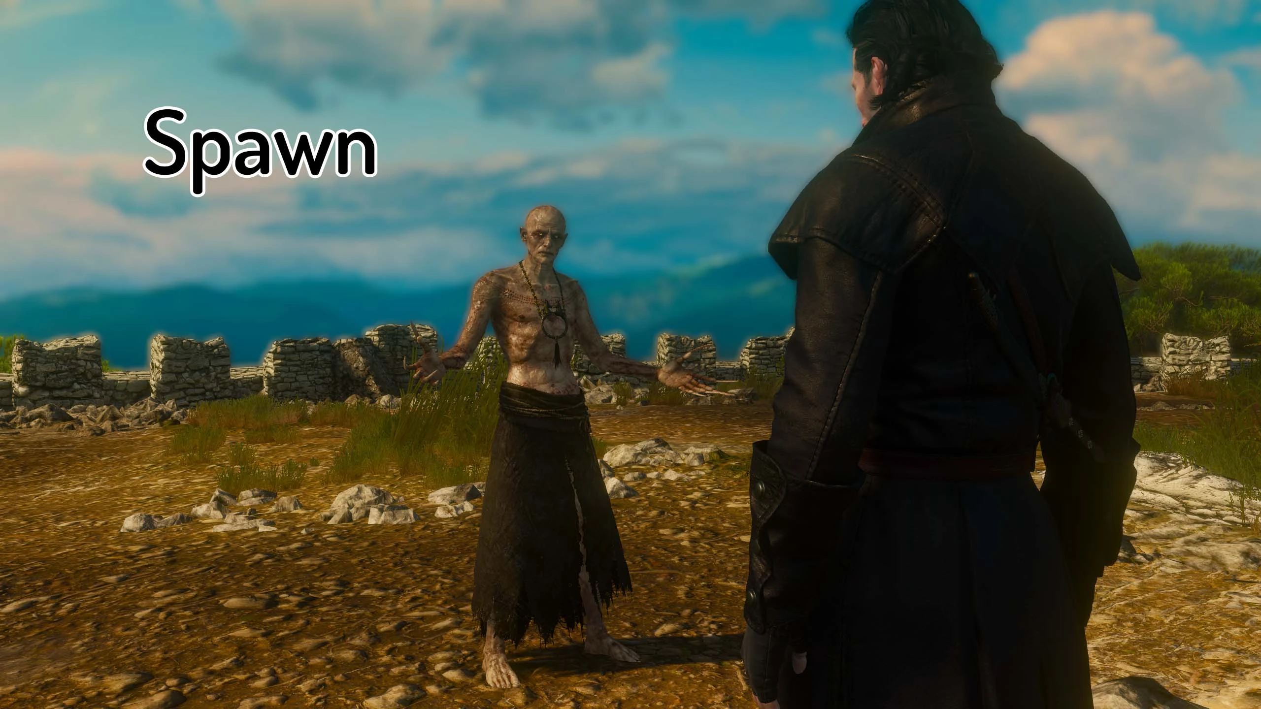 The witcher 3 console commands фото 30