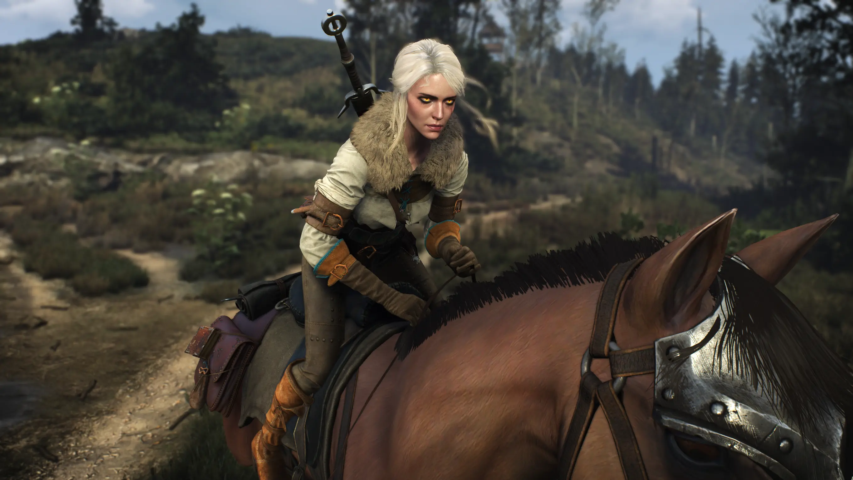 Witcher Eyes For Ciri At The Witcher 3 Nexus Mods And Community