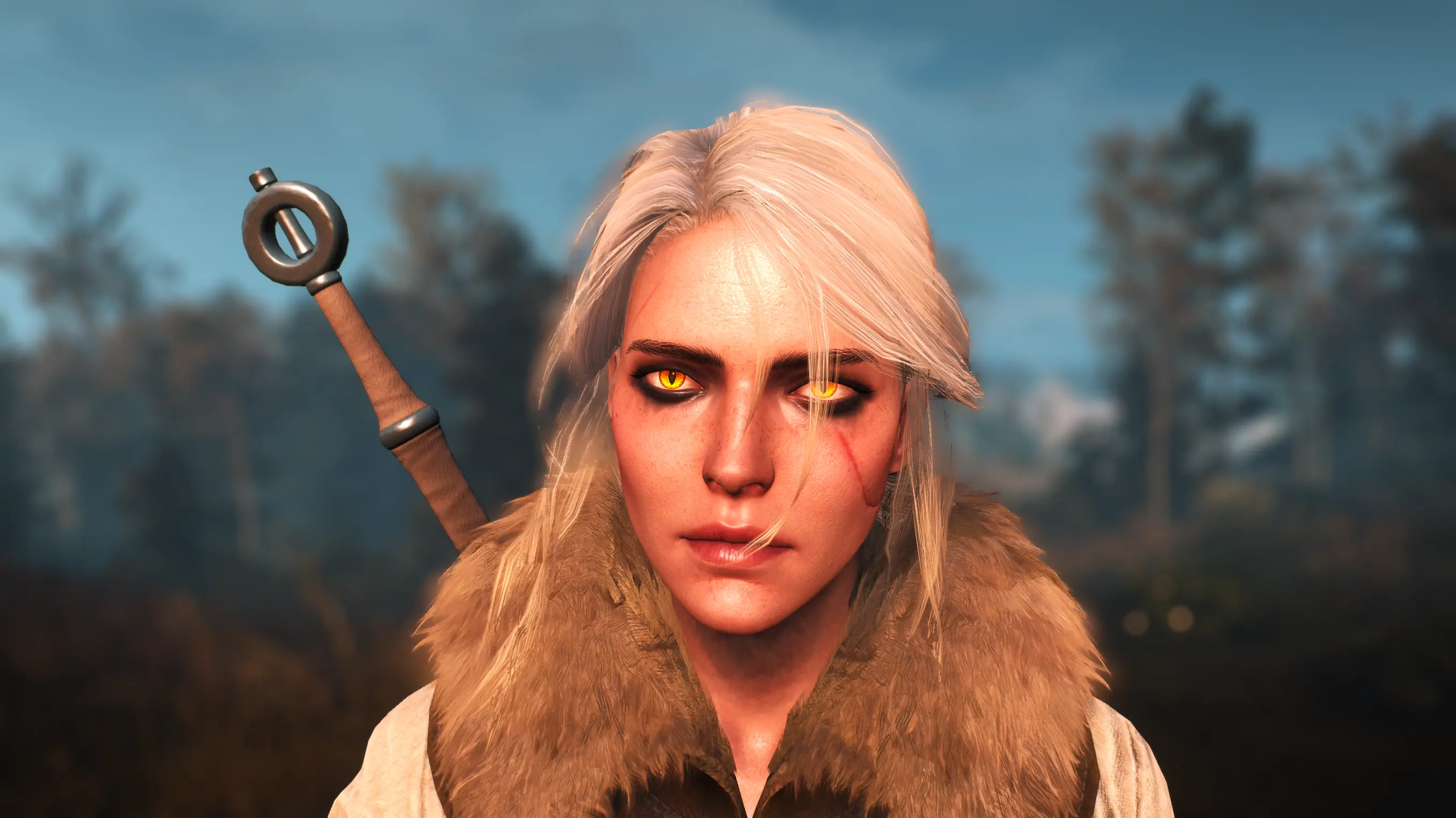 моды на the witcher 3 анимации фото 99