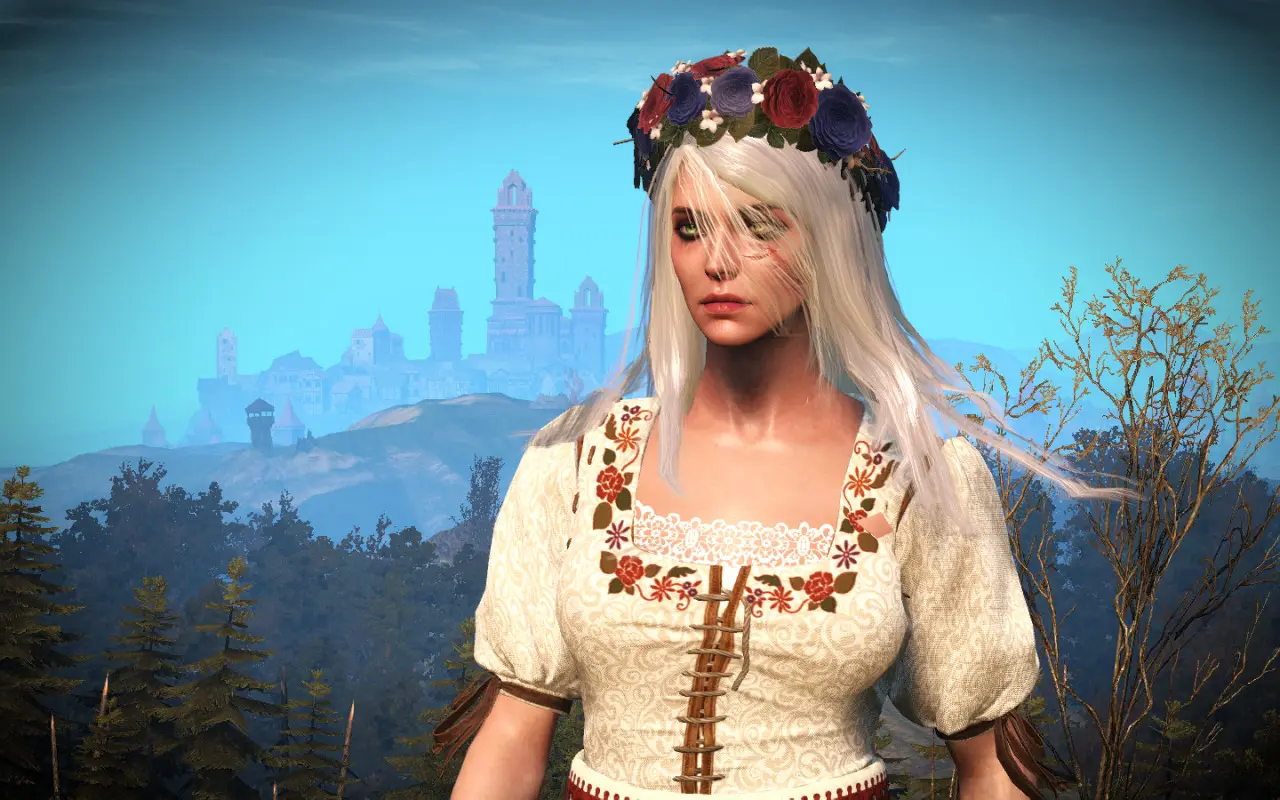 The witcher 3 mods iris фото 95