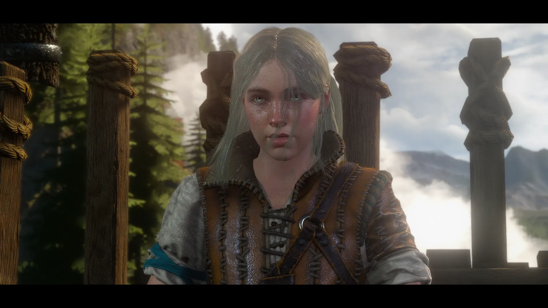 Long and loose hairstyle for Ciri at The Witcher 3 Nexus - Mods and ...