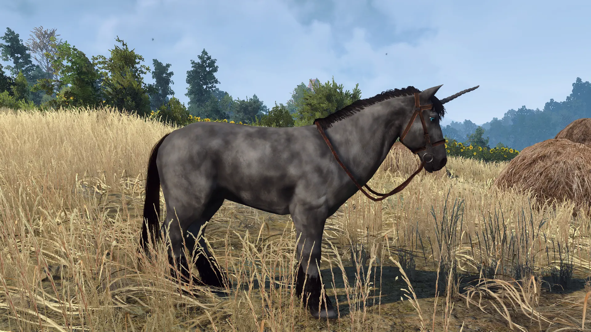 Thick Roach Variants At The Witcher 3 Nexus - Mods And Community