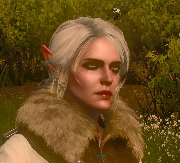 ciri now is elf at The Witcher 3 Nexus - Mods and community