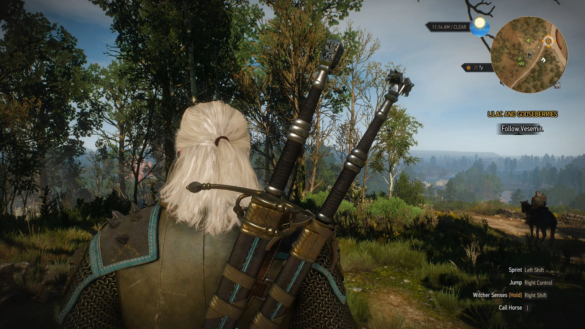 The witcher 3 witcher gear locations фото 108