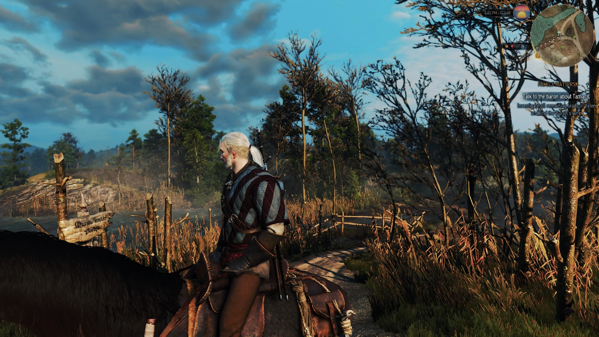 The witcher 3 music overhaul фото 118
