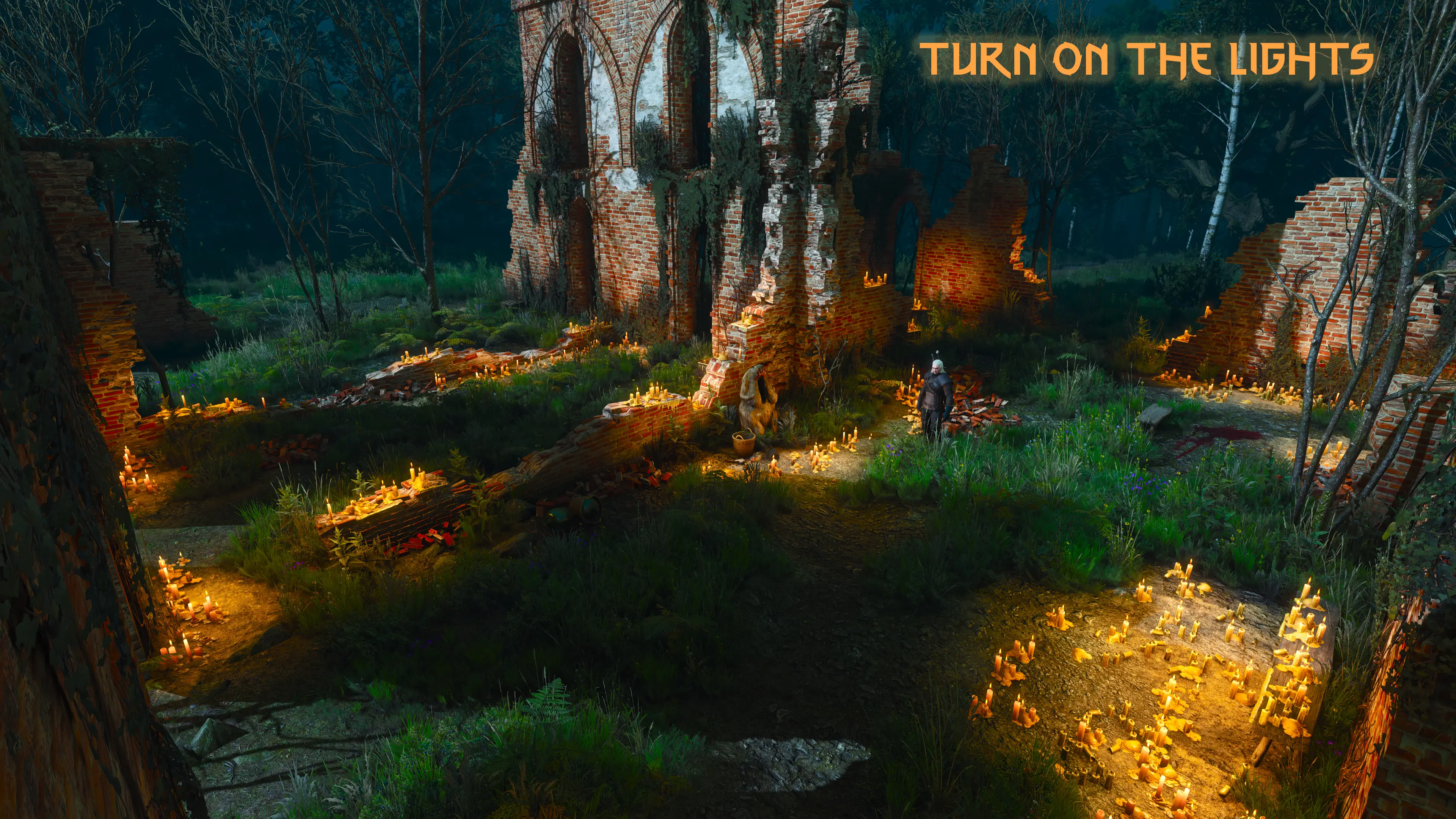 The witcher 3 next gen mods фото 102