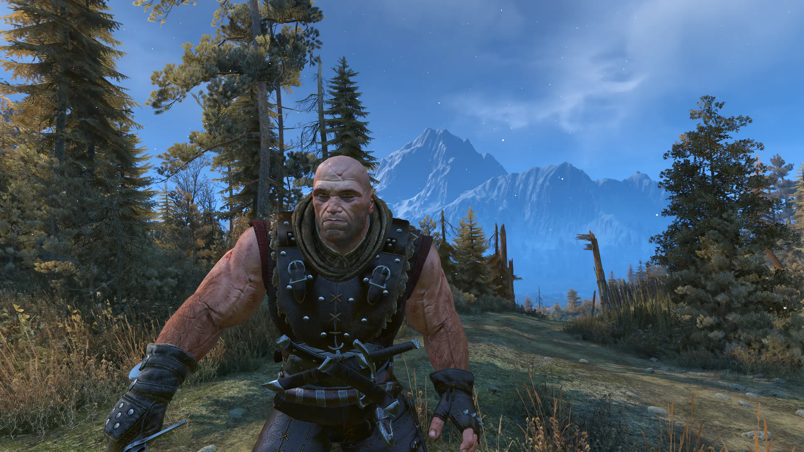 Letho The Witcher 2 At The Witcher 3 Nexus Mods And Community 5284