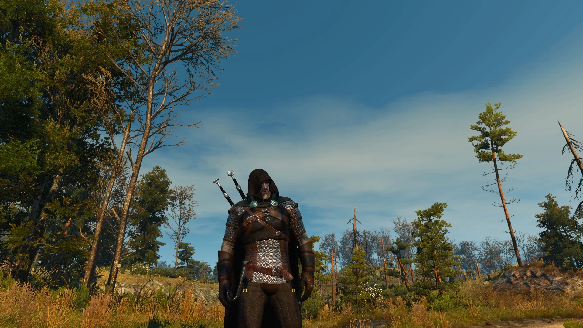 compatible mods with witcher 3 1.22