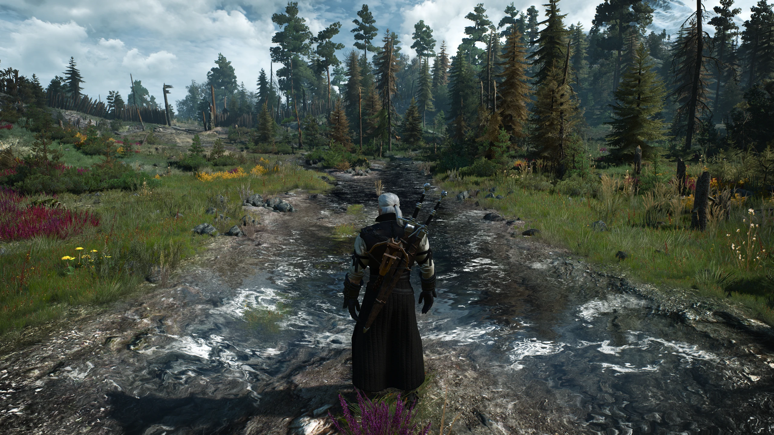 The witcher 3 nvidia amd фото 111
