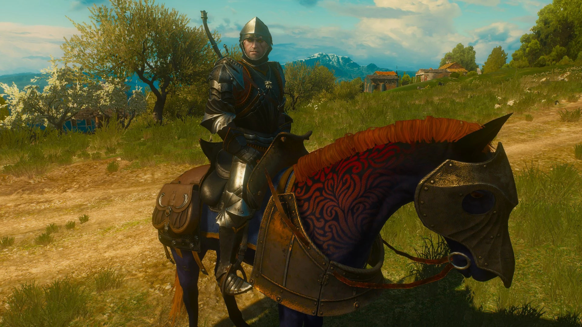 The witcher 3 armor pack фото 111