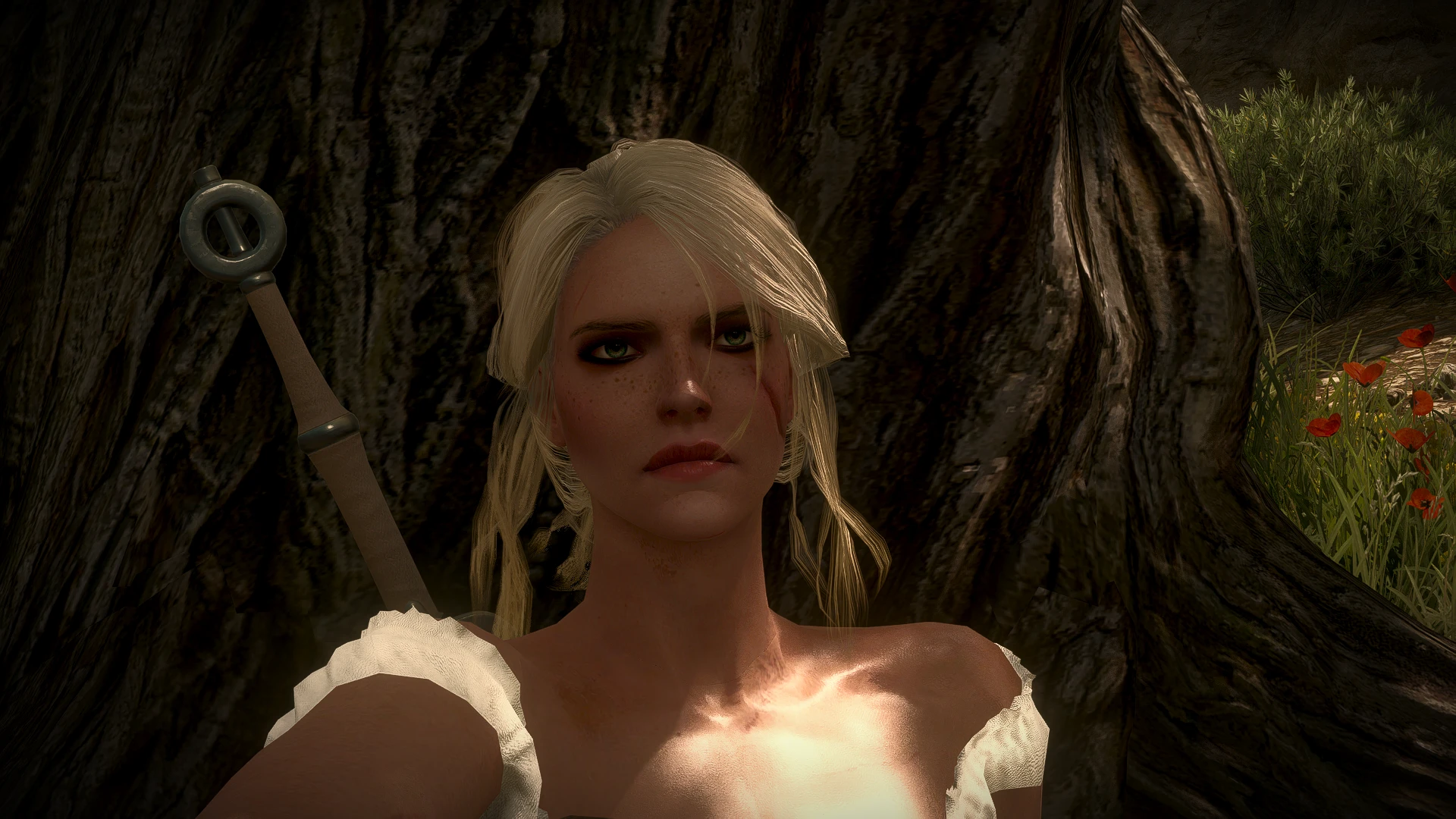 Lore Accurate Ciri Face at The Witcher 3 Nexus - Mods and community