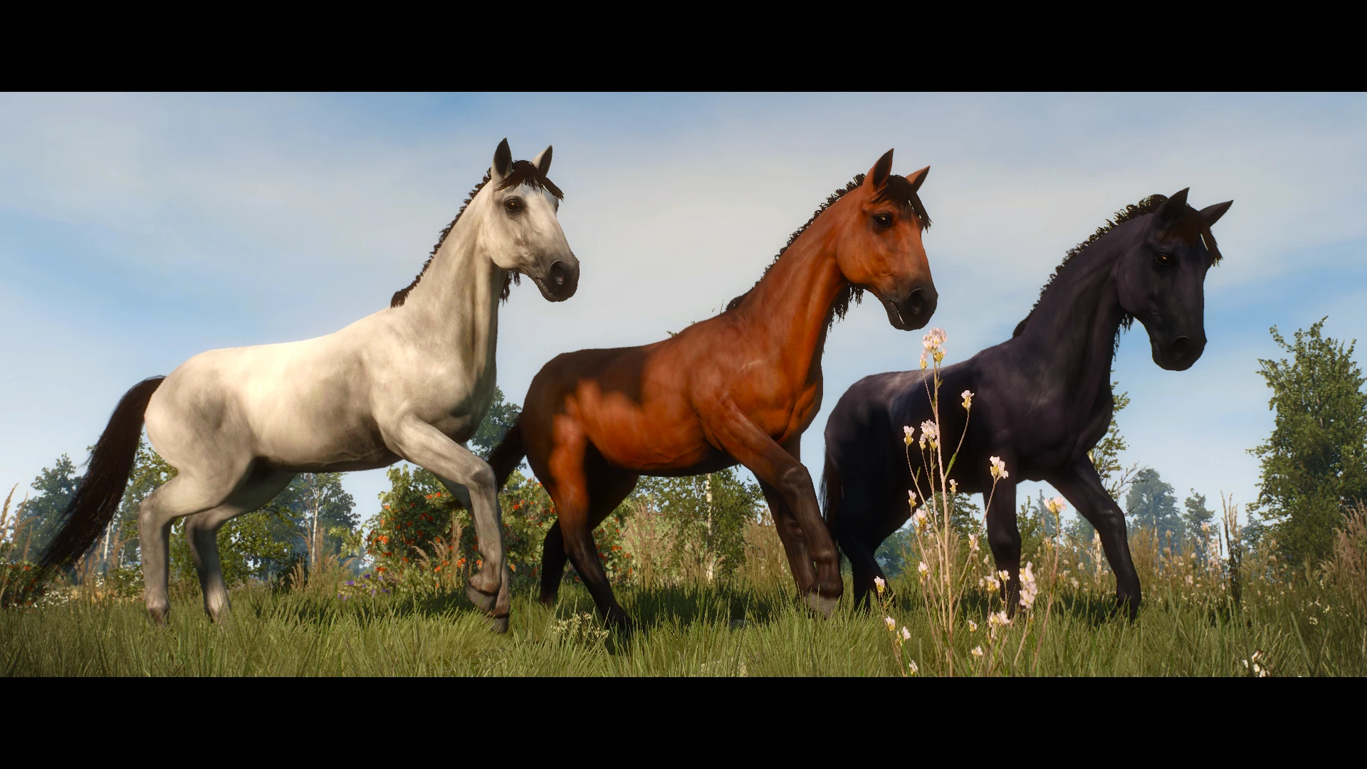 NPC Horse Texture Replacer at The Witcher 3 Nexus - Mods and community