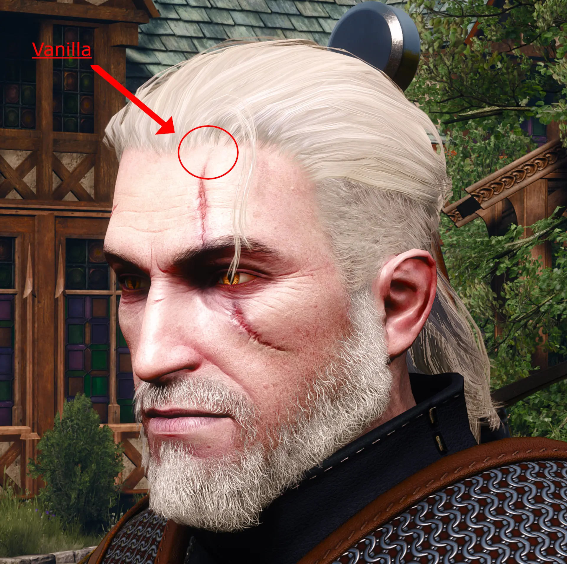 Hair Texture Fix at The Witcher 3 Nexus - Mods and community