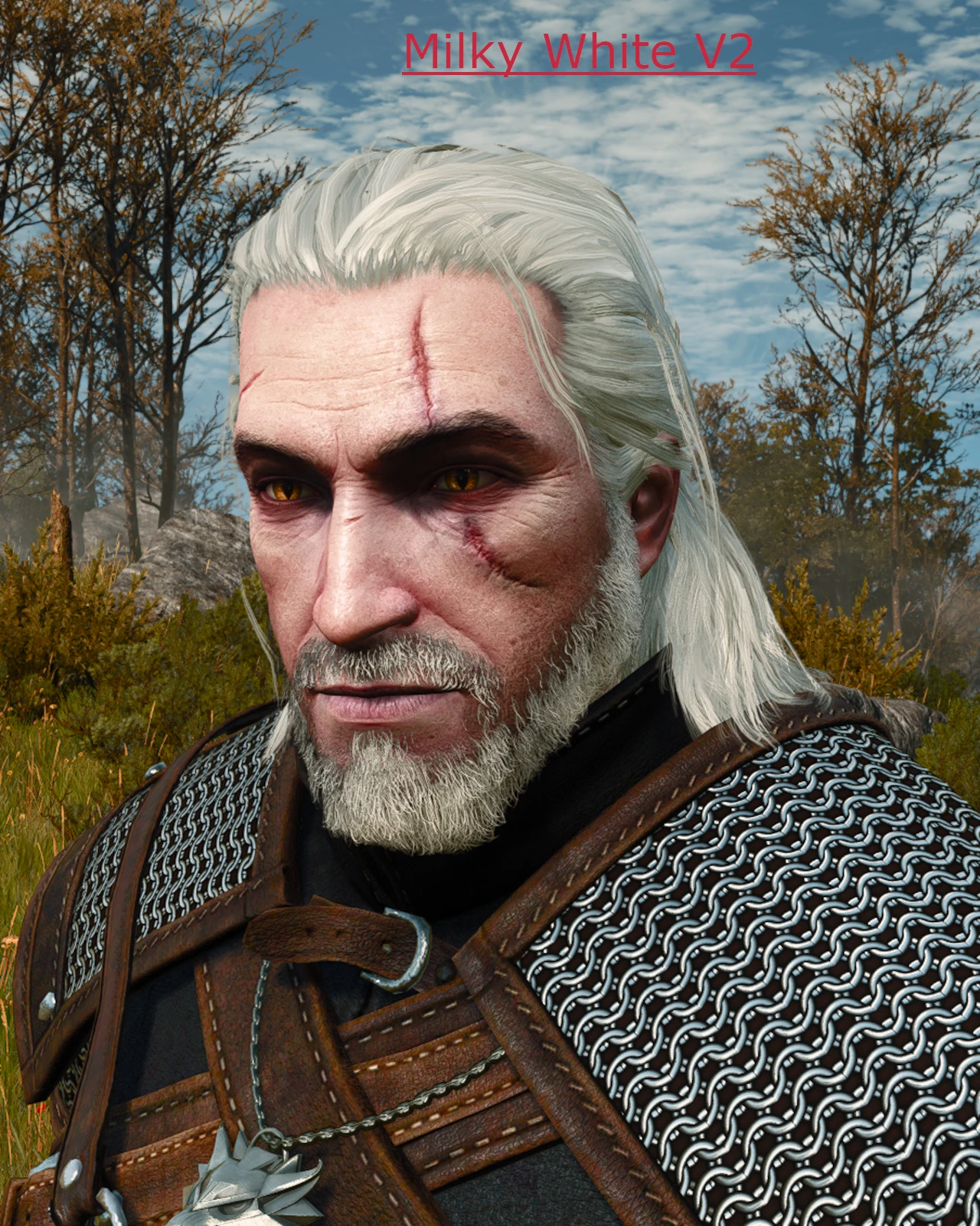 Ultimate Geralt Hair and Beard NonHW at The Witcher 3 Nexus - Mods and ...